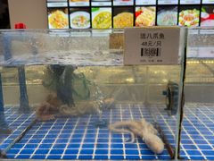 -舟山渔场(临安沙地路店)