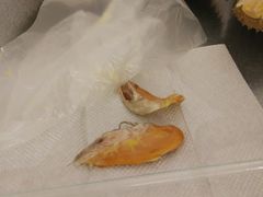 -都念榴莲·城市榴莲