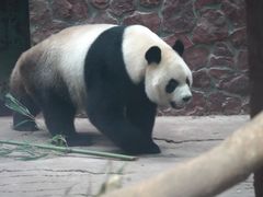 -黔灵山公园