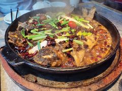 -老板恋上鱼(恒隆广场店)