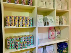 -青奢宠物·青奢猫舍