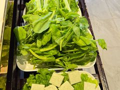 -爱膳菌锅锅(阳南店)