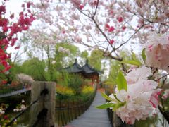 -南汇桃花村