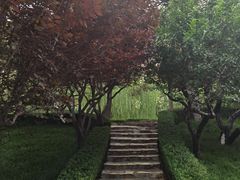 -团结湖公园