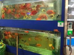 -双季花艺园艺市场(浦东店)