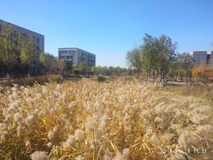 -妙味当棋子烧饼(凤凰世嘉店)