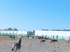 -新疆天山野生动物园