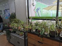 -813芭依珊 BAESAn(皇冠十畝地店)