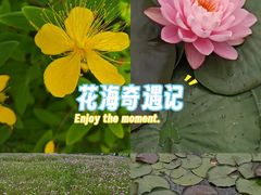 -洋湖国家湿地公园
