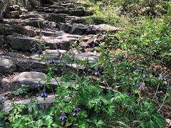 -阳台山自然风景区