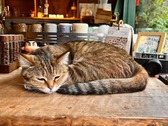 -新月集庭院咖啡馆(老邮局店)