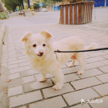 ️身材过瘦️  1分:可以看到肋骨，用手能轻易摸出来