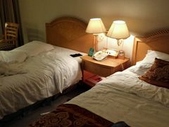 -南京维景国际大酒店(南京博物院店)