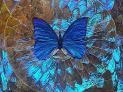 -上海昆虫博物馆