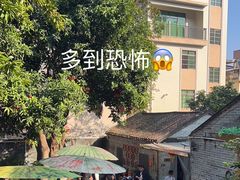 -周大娘牛乳(旧寨古村总店)