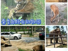 -北戴河东海水浴场