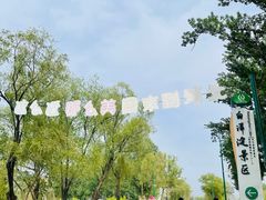 -白洋淀风景区