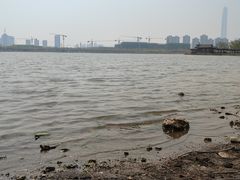 -水西公园