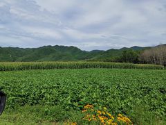 -兰河峪第117加油站