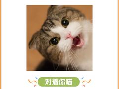 -半岛宠物医院24小时(科华中路店)