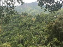 -清迈丛林飞跃 JungleFlight