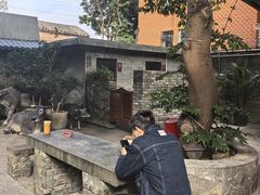 -周大娘牛乳(旧寨古村总店)