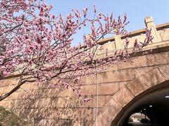 -元大都城垣遗址公园