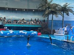 -海合安成都极地海洋公园