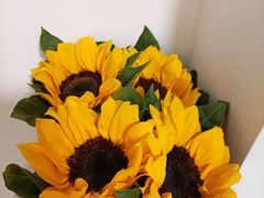 -循礼门鲜花花市(武汉循礼门店)