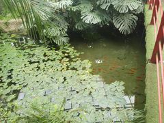 -石家庄市植物园