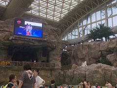 -杭州开元森泊度假乐园