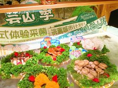 -芸山季·云南山珍菌火锅(人民广场来福士店)