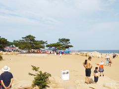 -老虎石海上公园