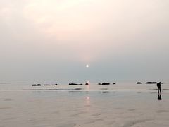 -金沙滩海水浴场(万平口景区4号门扬帆广场店)