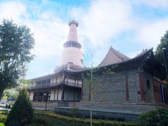 -张掖大佛寺景区