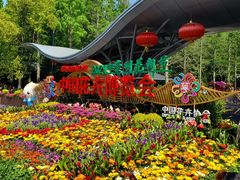 -东平国家森林公园