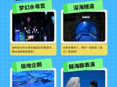 -石家庄极地海洋世界