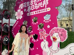 -金茂览秀城