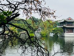 -荔湾湖公园