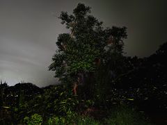 -西涌国际滨海旅游区