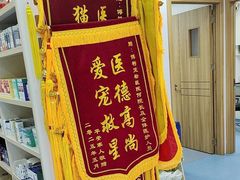 -博特宠物医院24h犬猫全科.骨科·异宠