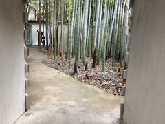 -穹六人间 people 6(岳阳路店)