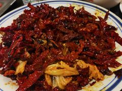 -福苗小骆驼烧烤(大唐不夜城店)