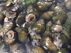 -海鲜冷冻副食批发市场(和生国际店)