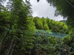 -藏龙百瀑风景区