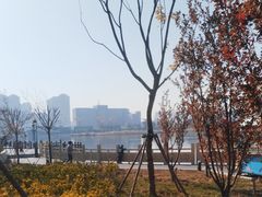 -保定东湖公园(莲池区)