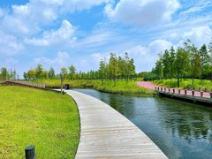 -春花秋色城市公园