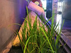 -上海外滩英迪格酒店