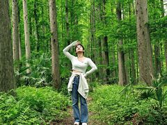 -黄海国家森林公园