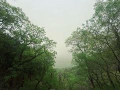 -北京鹫峰国家森林公园